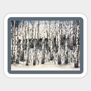 Birch Forest Sticker